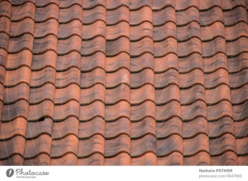 Red tile roof Roof tiles Roofing tile Architecture Exterior shot Colour photo House (Residential Structure)