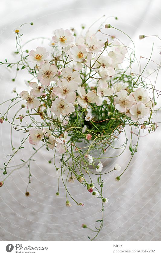 Vortex Flowers Bouquet flowers Flower vase bleed Flowering plant blossom Blossoming blooms Plant spring already Summer Pink Decoration White green Table