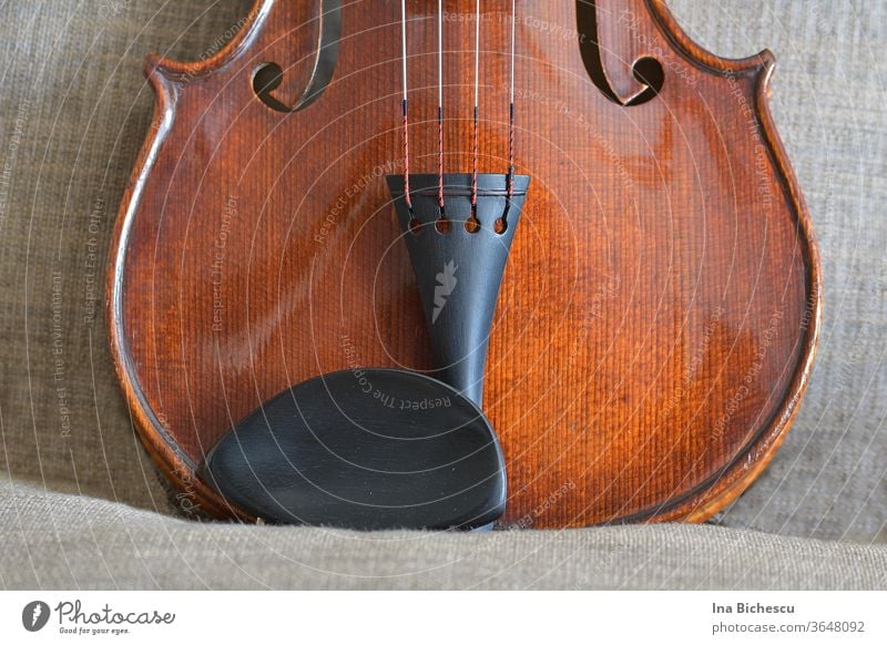 The lower part of a violin body . You can see the chinrest and the side support, parts from the sides and from the f-holes. The whole thing looks like a cat's head.
