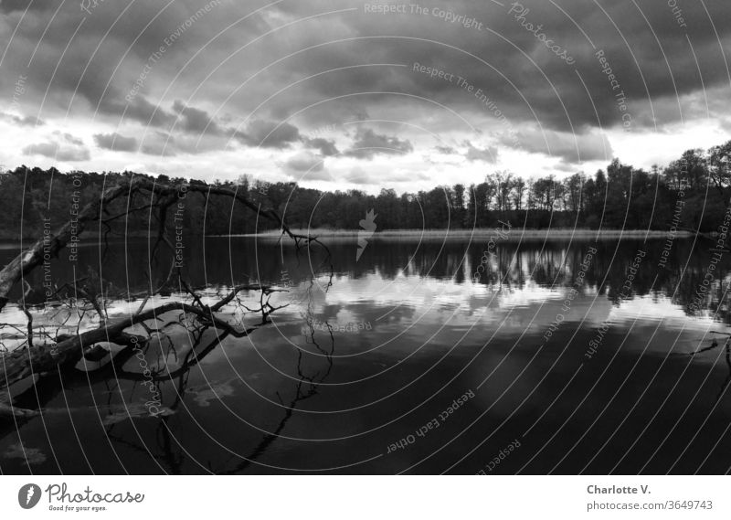 Unheildrohend | landscape with lake and dark clouds in black and white Black & white photo Bad weather Lake Lakeside reflection Reflection in the water