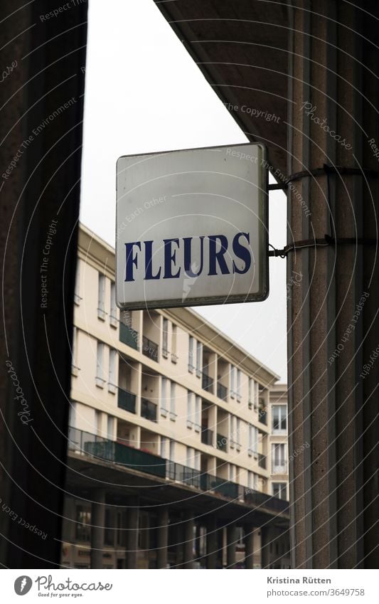 fleurs flowers sign publicity Advertising Billboard outdoor advertising Neon sign Flower shop flower shop florist Floristry Architecture built Facade Column