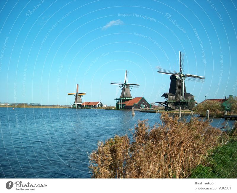 windmills Windmill Netherlands Architecture