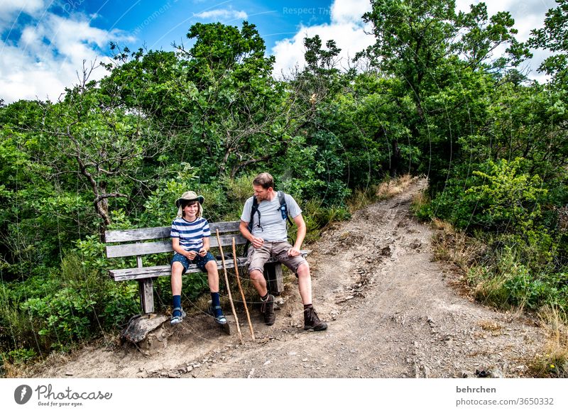 Father and son hiking in forest. Looking at map Stock Photo - Alamy