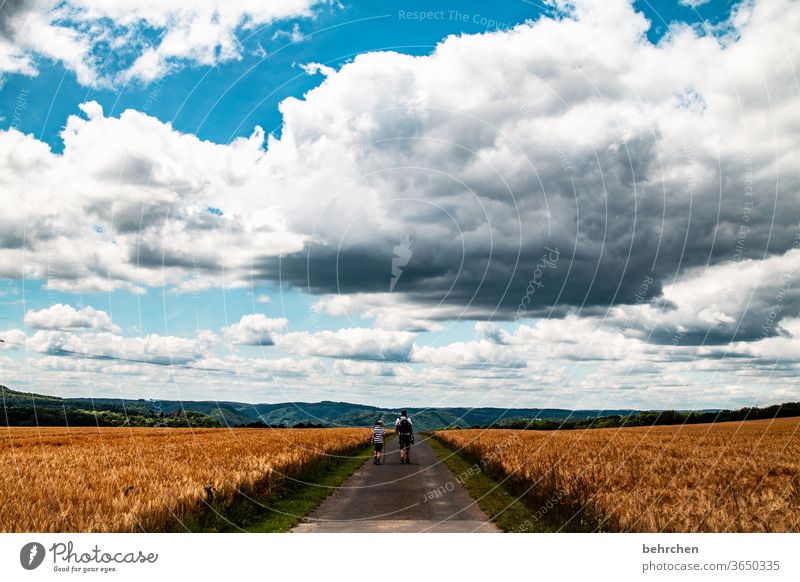 Treading new paths Symmetry Harvest endless wide Ecological Agricultural crop Growth Wheatfield Landscape Agriculture Grain Barley Rye Hiking Father Son Sky