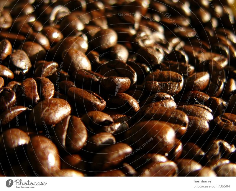 espresso beans Espresso Café Italy Beans To enjoy Brown Bar Macro (Extreme close-up) Coffee capuccino