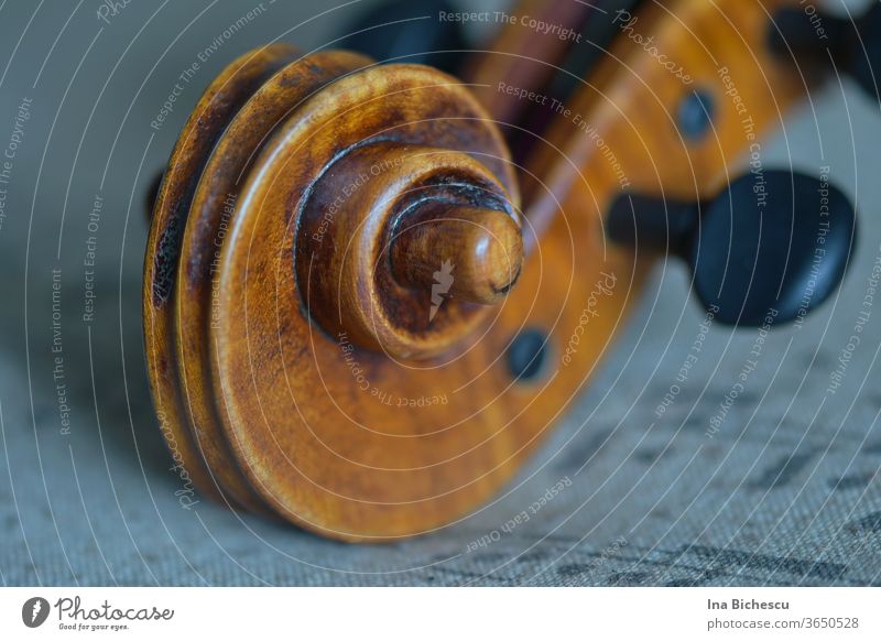 The head of a wooden violin with the scroll and a black tuning peg on a grey cloth with music notes print. Violin viola Viola Crumpet Head tuning pegs Brown