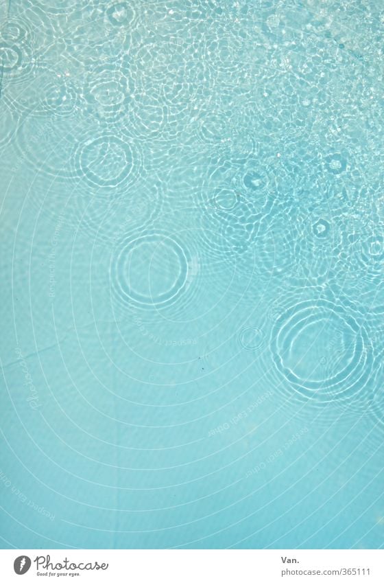 water feature Elements Water Drops of water Rain Swimming pool Wet Round Blue Circle Colour photo Exterior shot Deserted Copy Space bottom Neutral Background