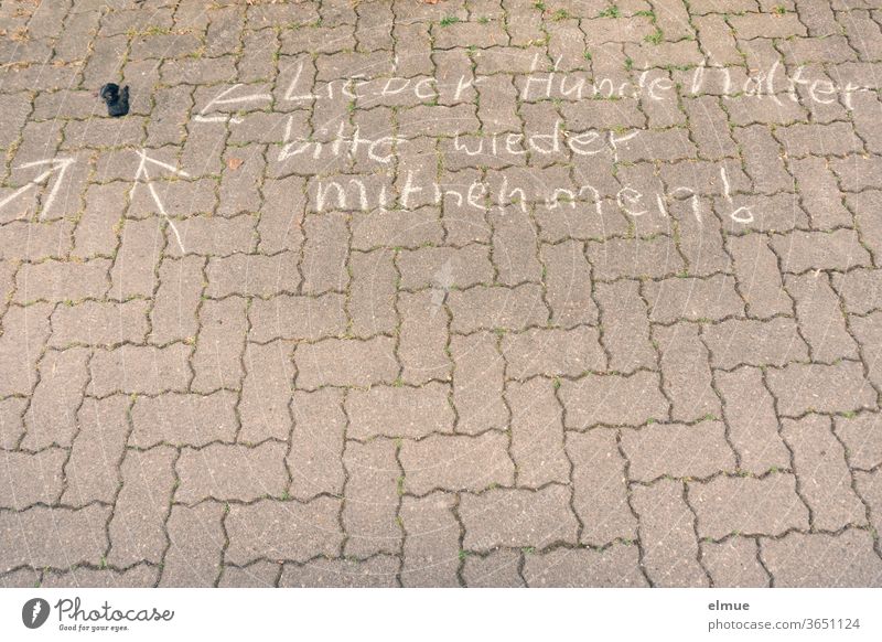 "Dear dog owner - please take your dog with you again!" is written with chalk on the paved path next to a dog pile dog excrement dog poop Disgust outrageous