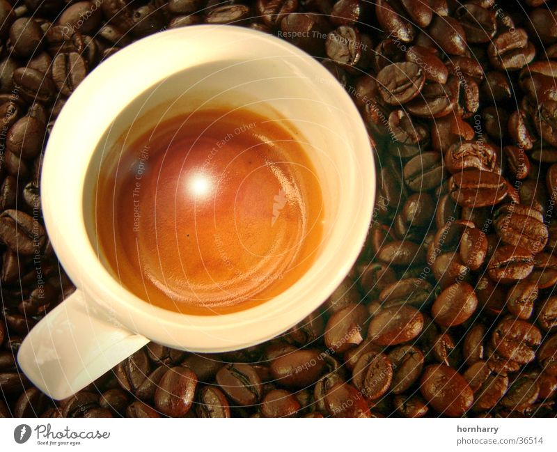 Espresso 1 Café Italy Beans Cup To enjoy Brown Bar Coffee crema capuccino
