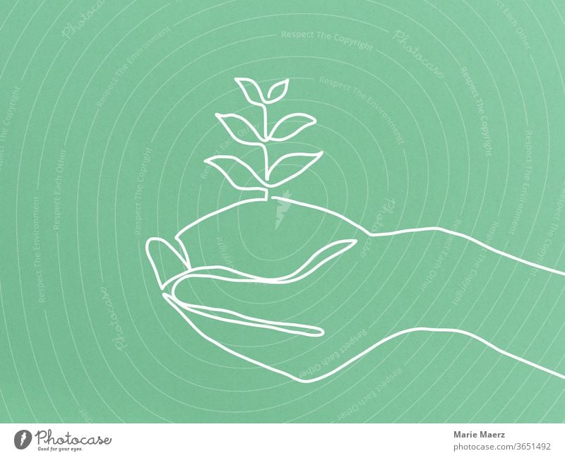 Sustainable growth - line drawing of a hand in which a plant grows Sustainability wax Growth Nature green Plant natural Environment Close-up Positive patience