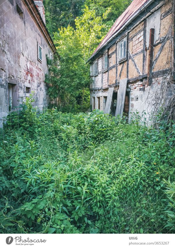 Two dilapidated houses - Two old, run-down, dilapidated and abandoned houses and the gap between them overgrown with grass and weeds. Architecture Garden built
