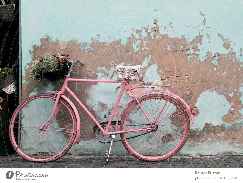 Vintage pink bicycle leaning against a wall in Havana, Cuba antique architecture bike classic cuba grunge havana old outdoor retro road rusty street summer