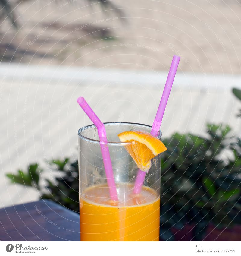 Off on holiday Beverage Drinking Cold drink Juice Lifestyle Joy Vacation & Travel Tourism Trip Summer Summer vacation Sun Beach Beautiful weather Relaxation