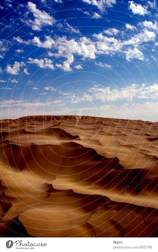 dune in the sahara desert Nature Sand Clouds Hill Line Brown Black White Loneliness Colour Tunisia Sahara Dune solitude water wave Light blue wood bush Footstep