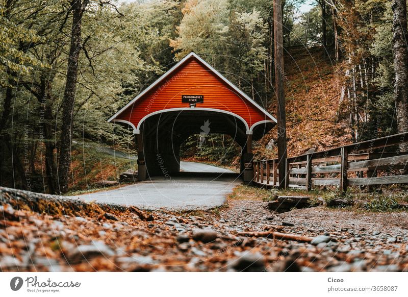 Red, covered bridge in autumn forest Forest Autumn Worm's-eye view Street Asphalt Hiking Roof Lanes & trails Fence wood leaves stones Nature Exterior shot