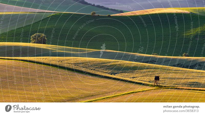 Rural landscape of Turiec region in northern Slovakia. countryside rural fields summer agriculture nature rolling hills hunting lookout