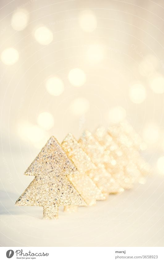 Golden Christmas trees in a row Christmas & Advent Christmas decoration speckled Kitsch Cliche Decoration Odds and ends Feasts & Celebrations Glittering