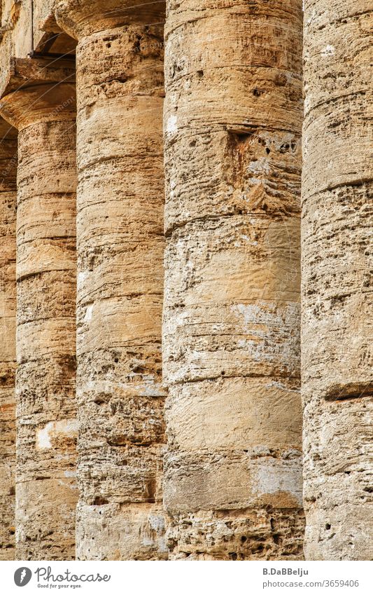 The mighty columns of the Temple of Segesta have been standing in the Sicilian sun for 2400 years and experts puzzle about their purpose. Italy Sicily vacation