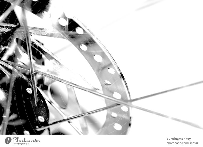 bikedetail Bicycle Mountain bike Wheel rim Things Detail Black & white photo Brakes disc brake Spokes