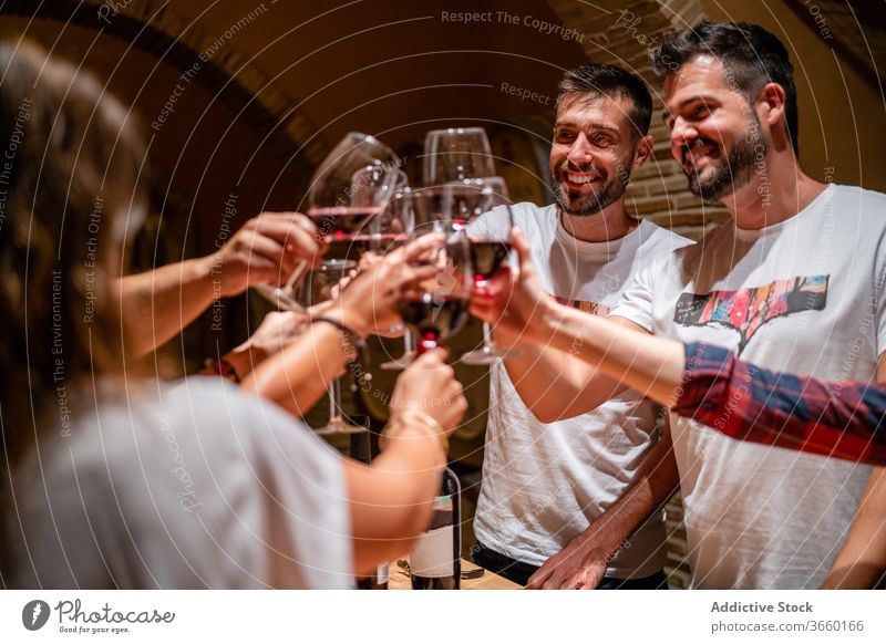 Cheerful friends clinking during wine tasting in winery red wine toast degustate drink cheerful happy fragrant enjoy wineglass modern delicious bottle tasty