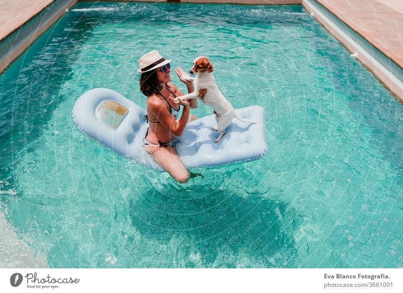 happy woman and dog in a pool having fun. dog sitting on inflatable and playing with owner. Summer time swimming pool blue water summer time love jack russell