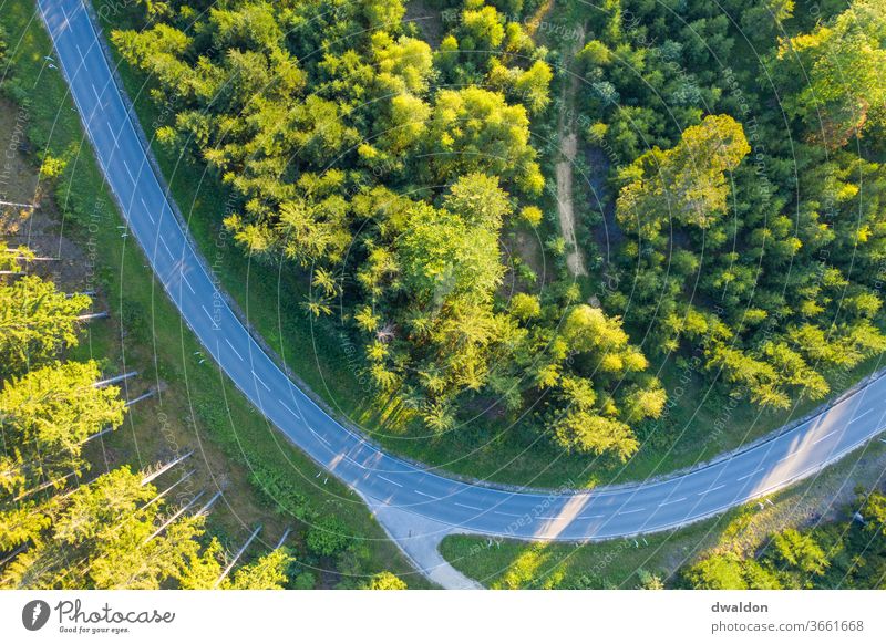 A view from above Forest country road drone Aerial photograph green Bird's-eye view Nature Colour photo Exterior shot Landscape tree Environment Summer Deserted