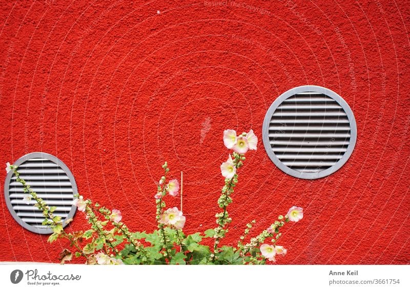 The orange-red façade of the house with the round silver ventilation grilles amazed them. She let the beautiful flowers linger. Colour photo Exterior shot