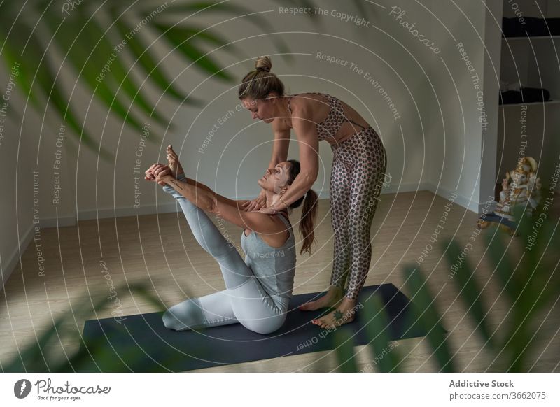 Focused women performing Krauncasana stretching yoga pose practice studio flexible calm heron well being balance wellness female instructor fit sportswear