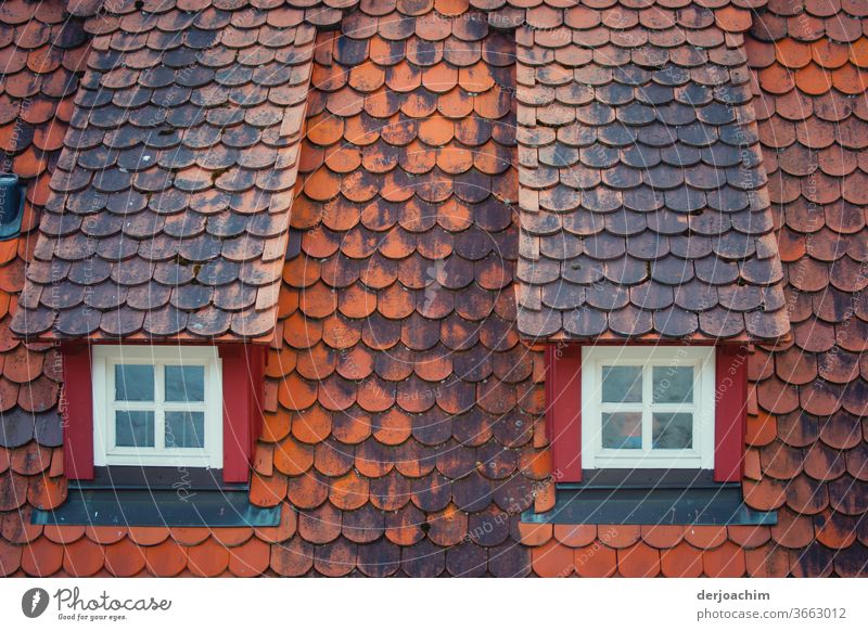 Two old standing roof windows - hipped roof - and red old roof tiles. Window Deserted Facade House (Residential Structure) Architecture Building Exterior shot