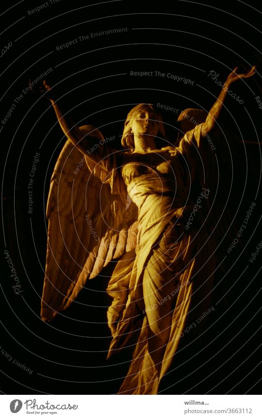The Golden Angel Sculpture messenger of God Angel figure Statue consolation Religion and faith Trench angel raised arms extended arms winged creature