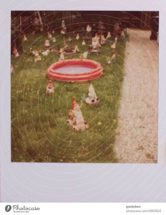 Polaroid shows many garden gnomes and a paddling pool in a garden. German smugness Garden gnome Paddling pool Summer square Meadow Kitsch Characteristic