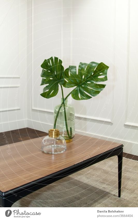 monstera leaves in glass vase on a wooden table in an elegant interior boiserie urban jungle monstera deliciosa expensive living wall foliage style floral