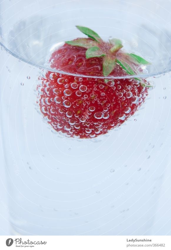Strawberry bubbles Fruit Drinking water Glass Water Drop Fluid Fresh Cold Delicious Juicy Sweet Green Red Curiosity Thirst Discover Joy Colour photo