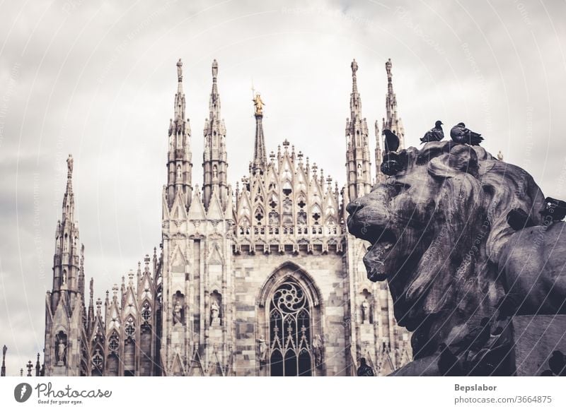 Close up of the Lion of Vittorio Emanuele II monument, the  Milan Duomo on the background Christianity anatomy ancient animal antique architecture art artistic