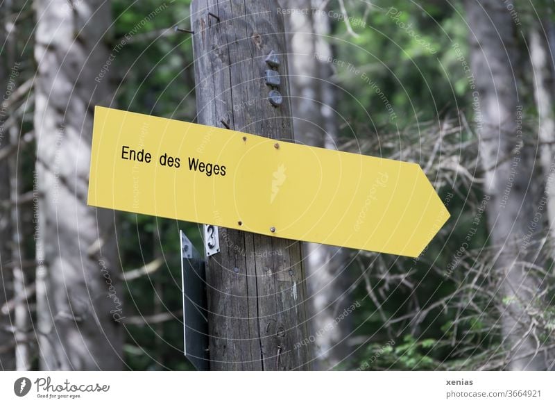 The yellow sign in the forest announces the end of the path End off Yellow Forest Road marking Lanes & trails Signs and labeling Direction Signage Clue xenias