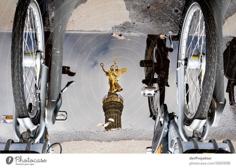 Victory column in a puddle reflection with bicycles Downtown Deserted Tourist Attraction Landmark Monument Gold Statue Colour photo Exterior shot