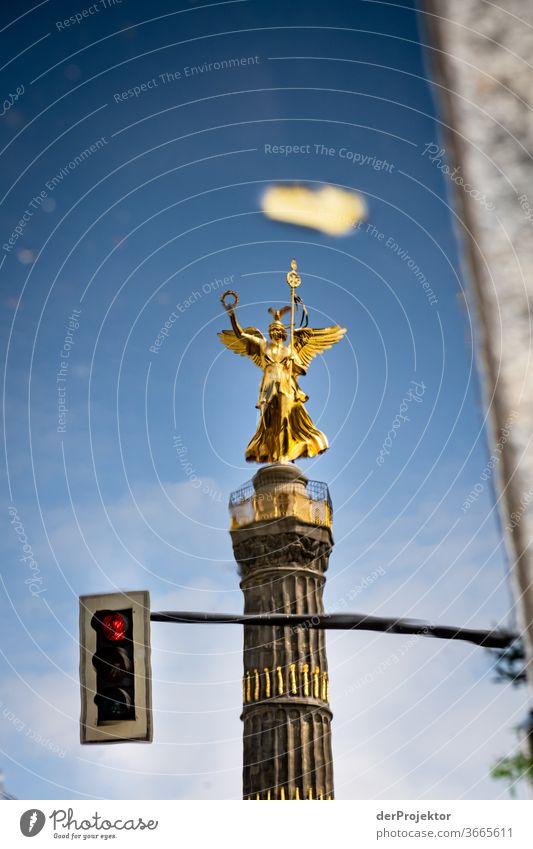 Victory column in a puddle reflection with traffic light (red) Downtown Deserted Tourist Attraction Landmark Monument Gold Statue Colour photo Exterior shot
