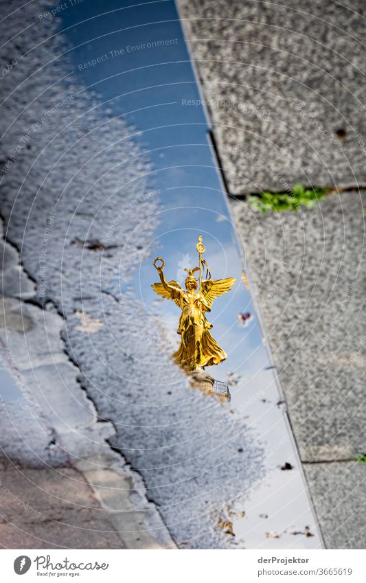 Victory column in a puddle reflection with asphalt and curb Downtown Deserted Tourist Attraction Landmark Monument Gold Statue Colour photo Exterior shot