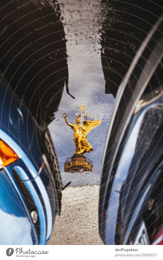 Victory column in a puddle reflection with cars Downtown Deserted Tourist Attraction Landmark Monument Gold Statue Colour photo Exterior shot Copy Space left