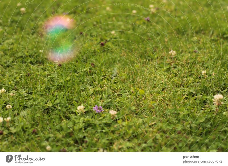 A fuzzy soap bubble hovers over a green meadow with meadow flowers Soap bubble Meadow Blur Children's game reflection fascination Reflection variegated Round