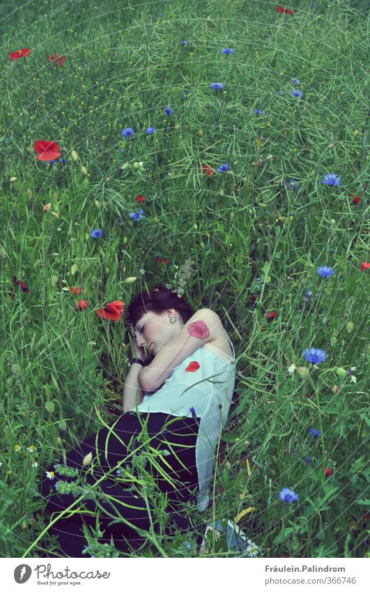 A bed in poppy field II. Human being Feminine Young woman Youth (Young adults) Woman Adults Arm 1 18 - 30 years Environment Nature Plant Spring Summer