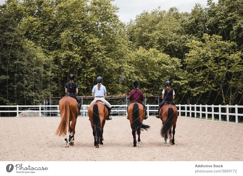 Group of female equestrians riding horses on paddock ride group horseback dressage company women together training arena jockey sand chestnut horsewomen rider