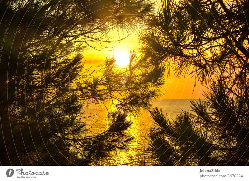 Beautiful sunset over the sea - a Royalty Free Stock Photo from Photocase