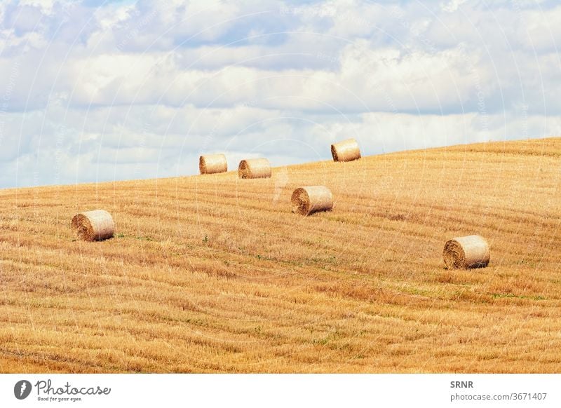 Round bales of straw in a meadow in a hilly landscape. Álava Province,  Basque Country, Spain - a Royalty Free Stock Photo from Photocase