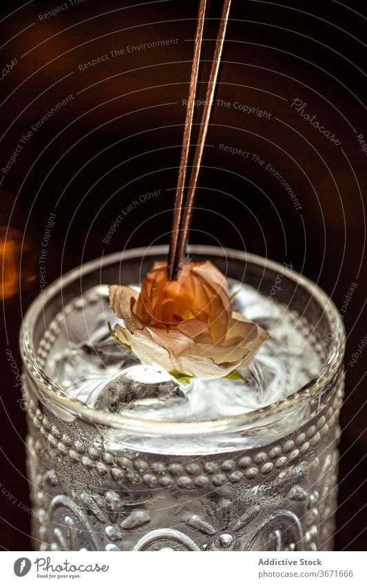 Delicate flower on cold cocktail glass decor ice cube delicate stick dark alcohol fragile drink beverage fresh refreshment plant transparent natural crystal