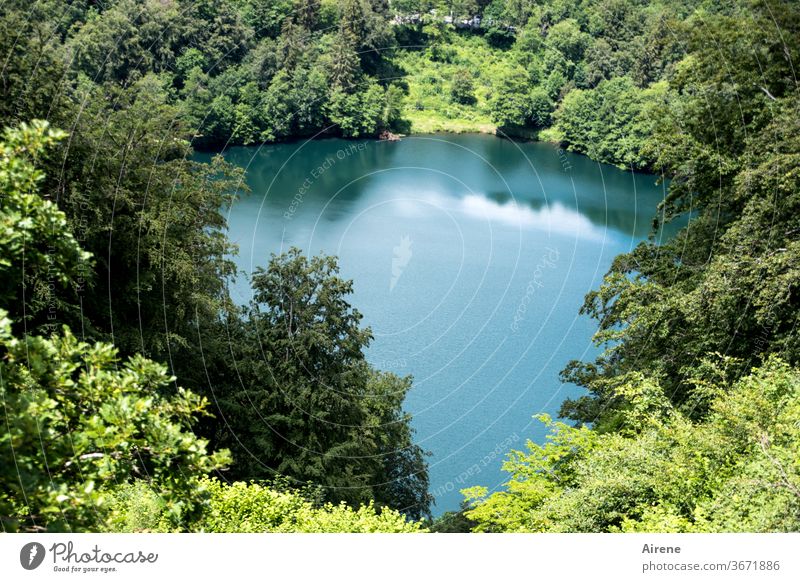 Maar instead of mare Lake Pond volcanic lake Forest Nature reserve Green Blue Turquoise clear Water smooth Beautiful weather windless tranquillity Loneliness