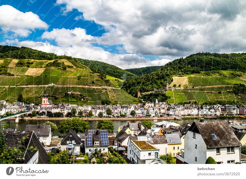 goodbye mosel... Architecture Town Forest Hiking Nature Vacation & Travel Exterior shot Environment Summer Clouds Sky Landscape Deserted Colour photo Mountain