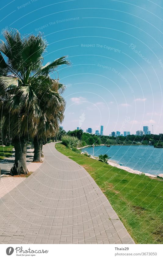 river side view on Tel Aviv city, palms and green grass, blue sky sunny day, Israel mediterranean sea scenic hot riverfront shore outdoors travel tourism