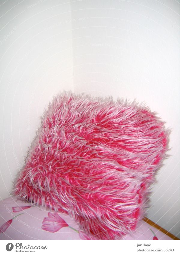 fluffy Cushion Wall (building) Soft Pink Bed Pelt Living or residing Corner Placed Pillow