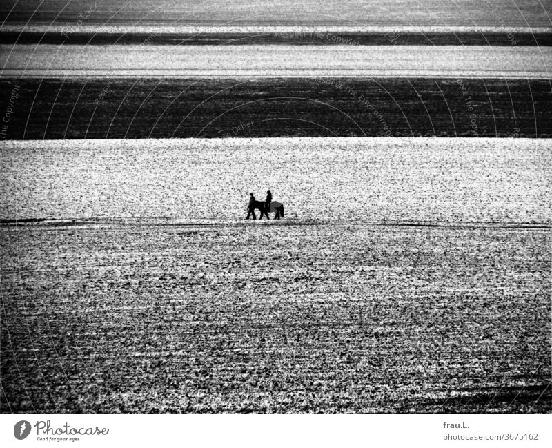 Who rides so late through icy fields and wind, it is a father with his child. Bangs Village acre girl Man Winter Evening